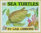 Sea Turtles
