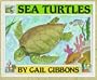 Sea Turtles