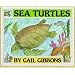 Sea Turtles