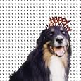 Various Artists - Mollie's Mix
