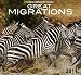 National Geographic Channel Great Migrations 2011 Calendar