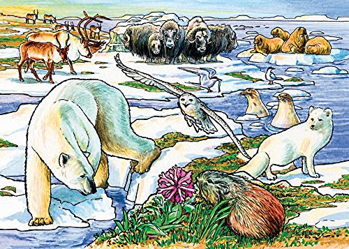 Arctic Adventure, A 35-Piece Tray Puzzle by Cobble Hill