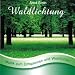 Waldlichtung - Sanfte Musik zum Entspannen und Wohlf�hlen