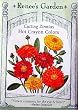 Zinnia Seeds Hot Crayon Colors 100 Seeds