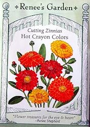 Zinnia Seeds Hot Crayon Colors 100 Seeds