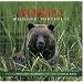 Montana Wildlife Portfolio