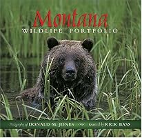 Montana Wildlife Portfolio