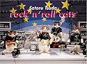 Satoru Tsuda: Rock 'n' Roll Cats Notecard Box