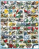 White Mountain Puzzles State Birds and Flowers
