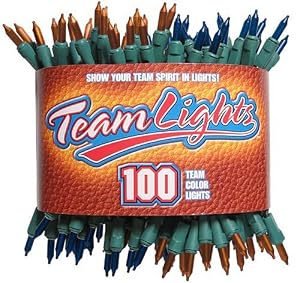 TeamLights Orange and Blue Decorative Light String in Sports Package
