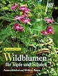 Wildblumen f�r T�pfe und Schalen