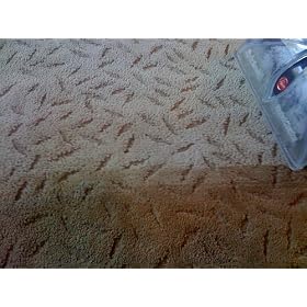 Hoover MaxExtract Dual V Carpet Cleaner