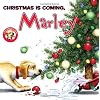 Marley: Christmas Is Coming Marley