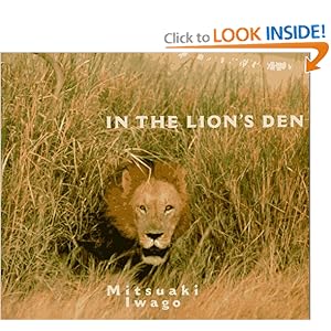The Lion's Den - D. N. Simmons