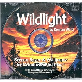 Wildlight (Jewel Case)