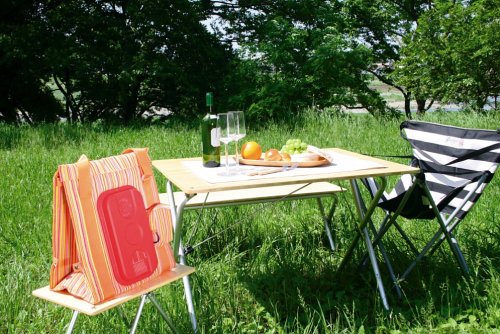 CARRYCOOL 電子式クーラーバック スクエア