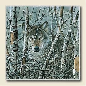 Wolf In Trees - Fleeting Glimpse, Set of 4 Ceramic Coasters by Highland Graphics Creative Ventures