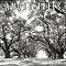Enchanted Forest