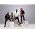 Thumbnail image of The Black Eyed Peas