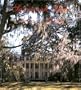 Savannah Style: Mystery and Manners