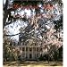 Savannah Style: Mystery and Manners