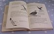 Twitcher's Diary: The Bird Watching Year of Richard Millington