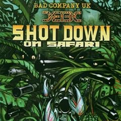 Shot Down on Safari