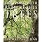 Books on Trees
