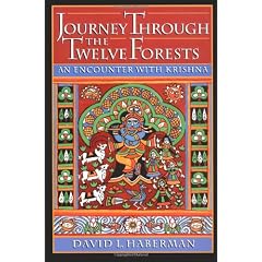 Journey Through the Twelve Forests: An Encounter with Krishna