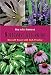 Book How to Get Started in Northeastern Gardening (First Garden)