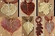 Leaf Ornaments - Aspen, Birch, Cottonwood, Oak and Maple