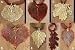 Leaf Ornaments - Aspen, Birch, Cottonwood, Oak and Maple