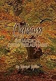Ogham : the magical Celtic tree alphabet