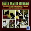 Blues Jam in Chicago 2