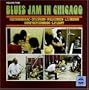 Blues Jam in Chicago 2