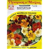 Thompson & Morgan 1794 Nasturtium 'Jewel of Africa' (Climbing) Seed Packet