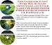 The Incredible Get More Biz, Success Principles and Inner Game for Home Decor Internet Businesses 3 CD Power Pack