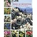 Seeds of Adventure: In Search of Plants
