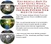 The Special How To Earn Extra Money, Success Principles and Accounting & Finance for Baby Powder Web Biz 3 CD Course