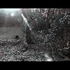 "Cold Song" from "If On A Winter's Night"
