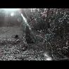 "Cold Song" from "If On A Winter's Night"