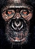 James Mollison: James & Other Apes