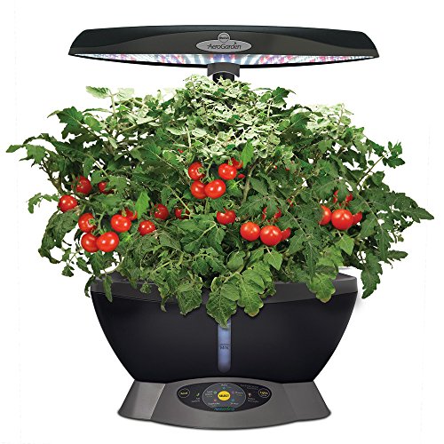 MiracleGro AeroGarden 6 LED with Gourmet Herb Seed Pod Kit Gourmet