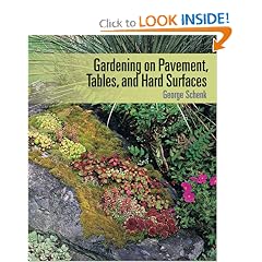 Gardening on Pavement, Tables, and Hard Surfaces