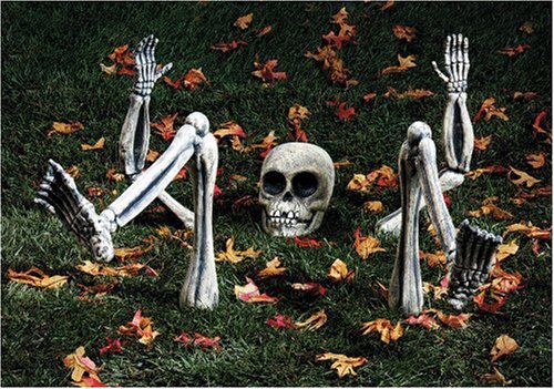 Groundbreaker Light Up Skeleton Halloween Prop