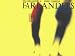 The Farlanders von Farlanders - alle Infos