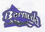 Bermuda Collectible Scuba Diving Pin