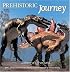 Prehistoric Journey: A History of Life on Earth
