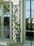 Knightsbridge Trellis
