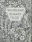 Woodland plants